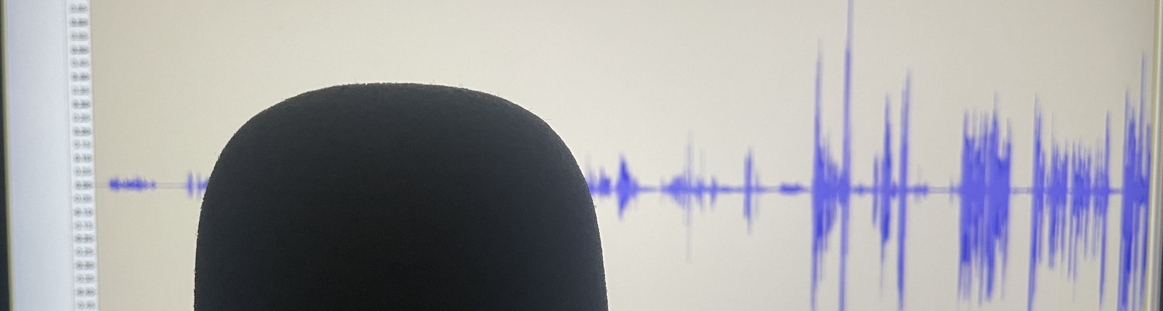 microphone